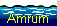 Amrum