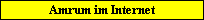 Amrum im Internet