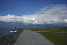 Holmer Siel